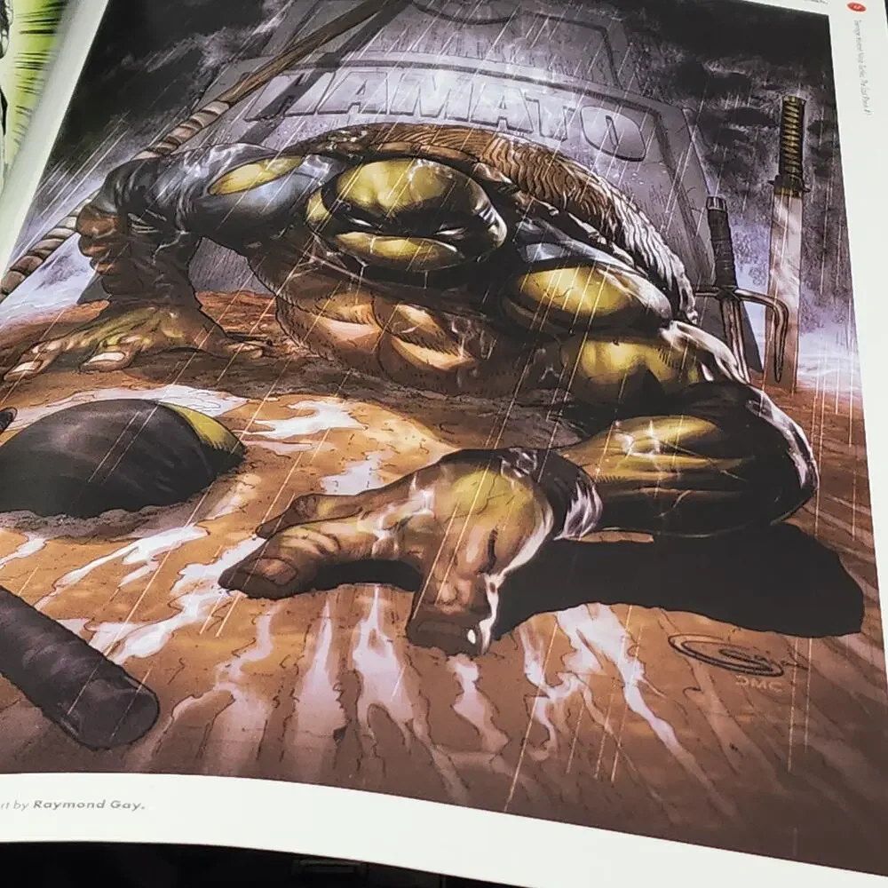 Teenage Mutant Ninja Turtles The Last Ronin The Covers HC IDW Publishing